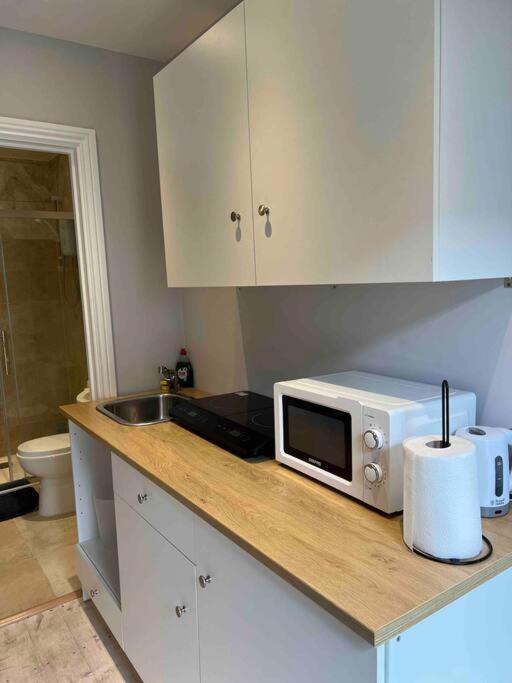 Newly Built Large Garden Ensuite Guest Studio Borehamwood Eksteriør bilde