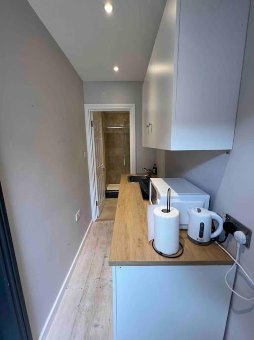 Newly Built Large Garden Ensuite Guest Studio Borehamwood Eksteriør bilde