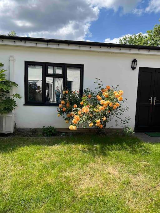 Newly Built Large Garden Ensuite Guest Studio Borehamwood Eksteriør bilde