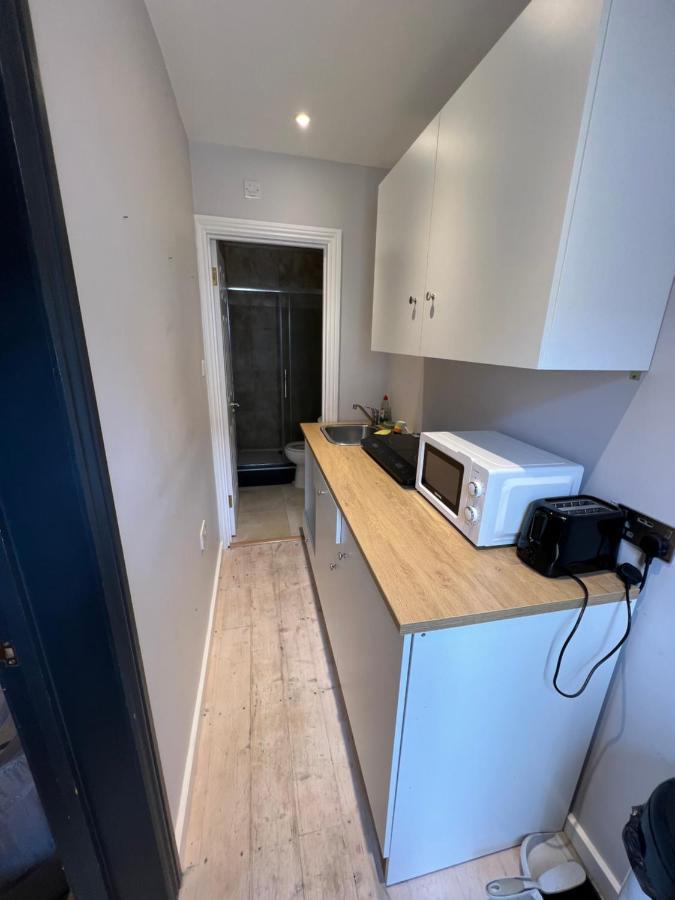 Newly Built Large Garden Ensuite Guest Studio Borehamwood Eksteriør bilde